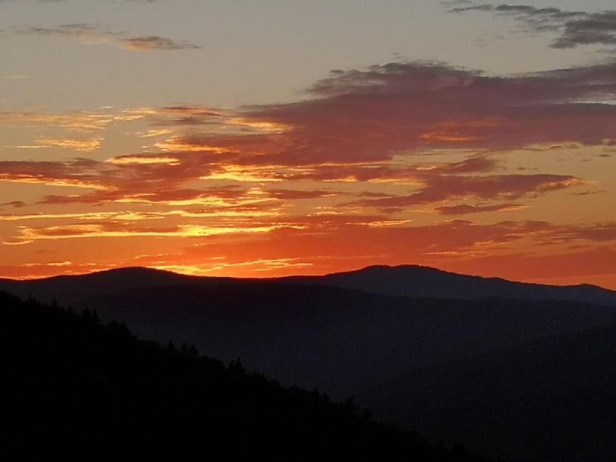 Ferienland Sonnenwald Fewo 46 Und Studio 50 In Schoefweg Bayerischer Wald 외부 사진