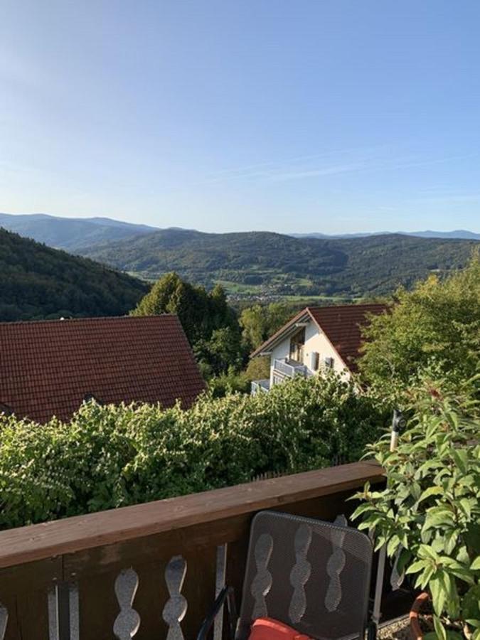 Ferienland Sonnenwald Fewo 46 Und Studio 50 In Schoefweg Bayerischer Wald 외부 사진