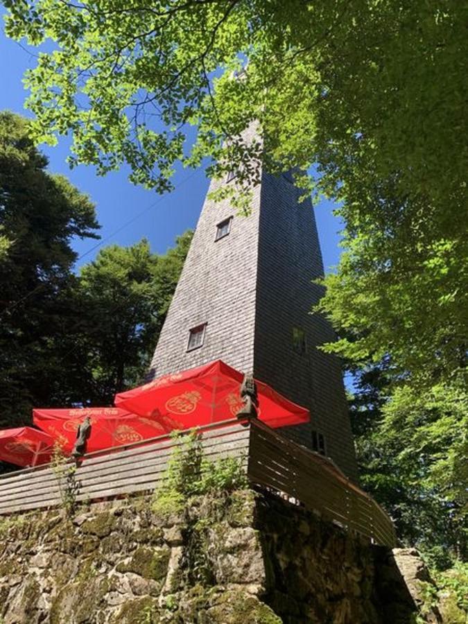 Ferienland Sonnenwald Fewo 46 Und Studio 50 In Schoefweg Bayerischer Wald 외부 사진
