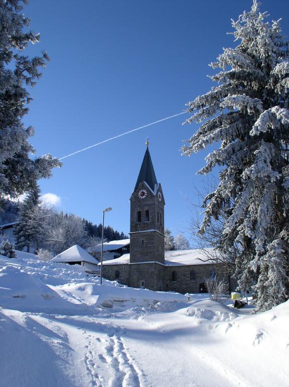 Ferienland Sonnenwald Fewo 46 Und Studio 50 In Schoefweg Bayerischer Wald 외부 사진