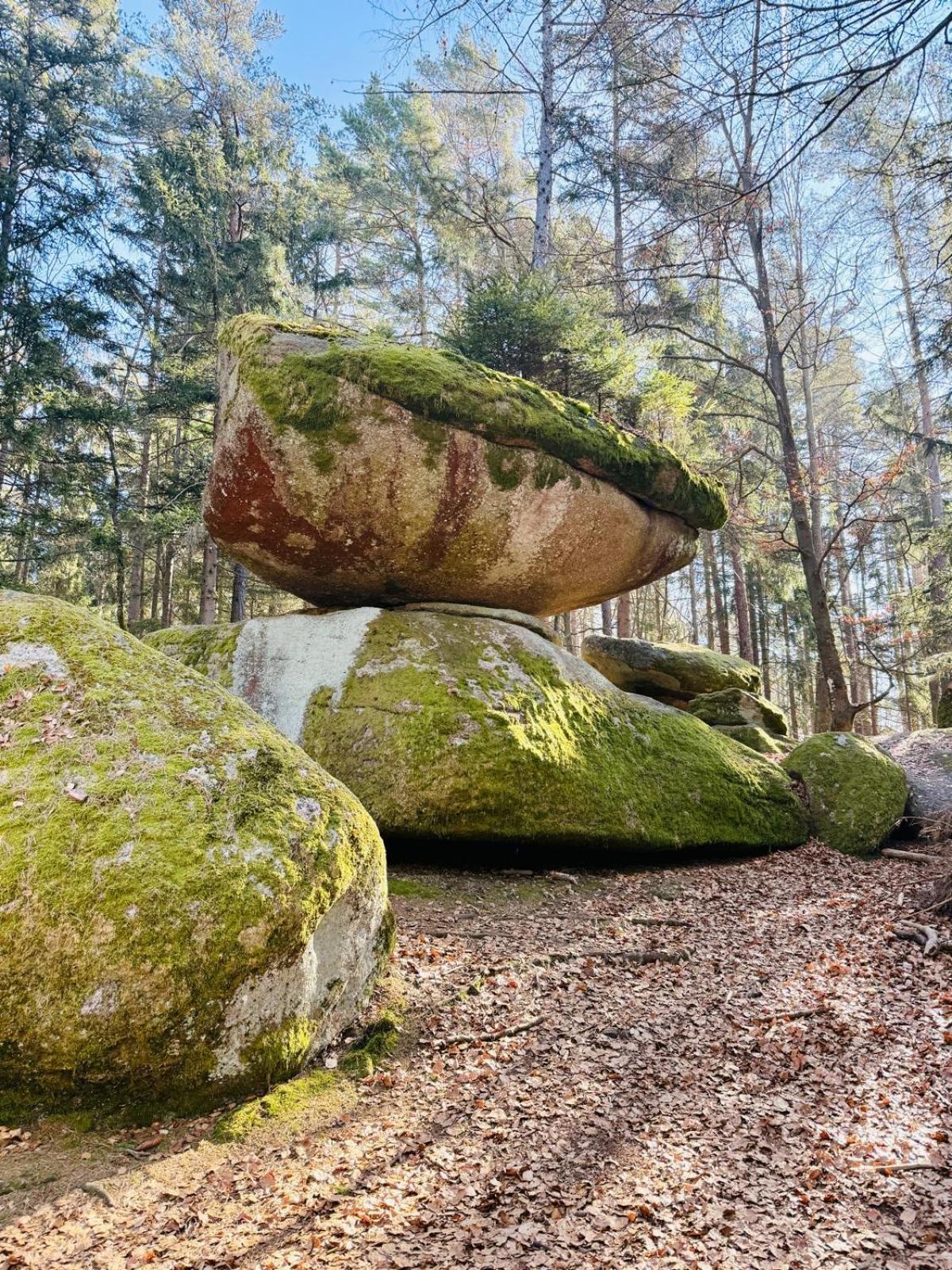 Ferienland Sonnenwald Fewo 46 Und Studio 50 In Schoefweg Bayerischer Wald 외부 사진