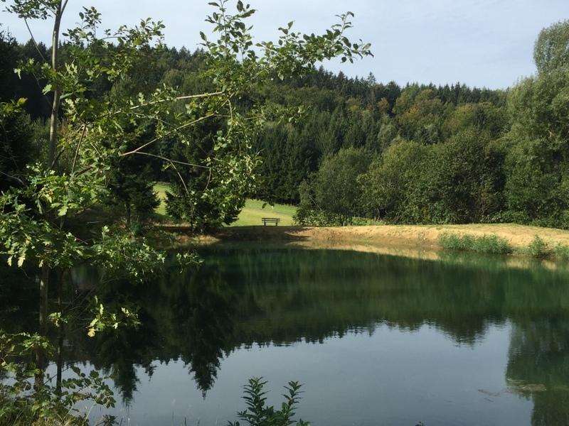 Ferienland Sonnenwald Fewo 46 Und Studio 50 In Schoefweg Bayerischer Wald 외부 사진
