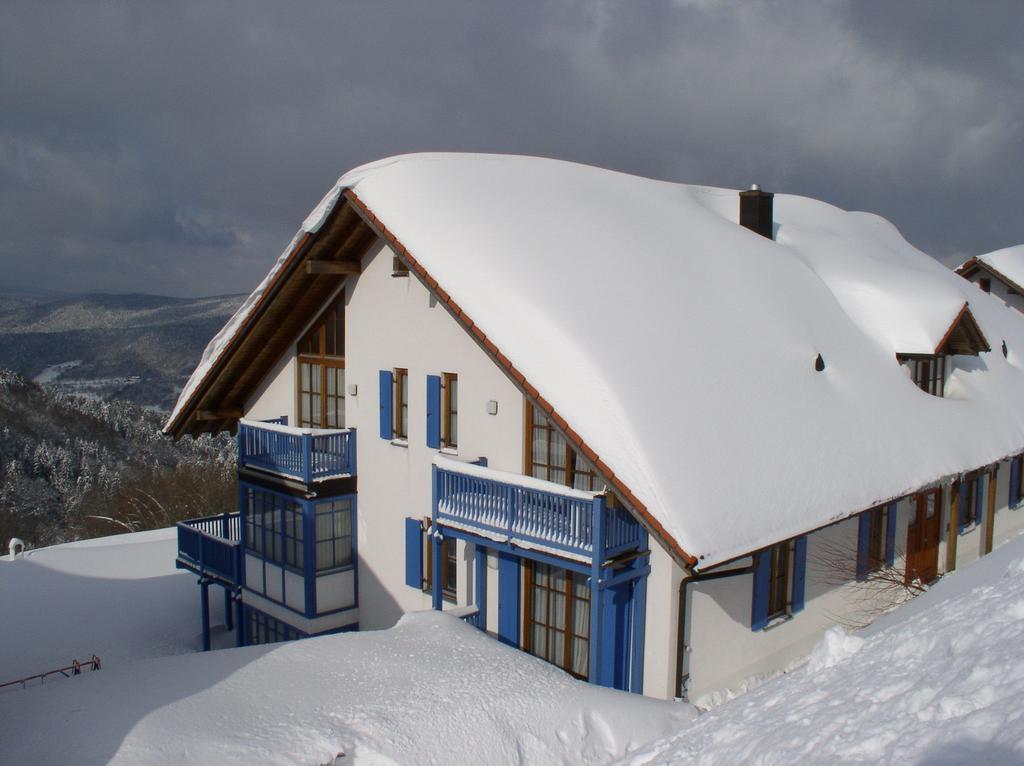 Ferienland Sonnenwald Fewo 46 Und Studio 50 In Schoefweg Bayerischer Wald 외부 사진